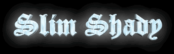 the slim shady